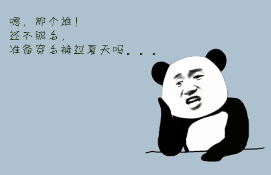 藍(lán)寶石冰點(diǎn)脫毛儀，有“它”在，毛毛不存在的！