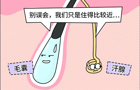 脫毛不徹底，毛毛的生命力到底有多頑強？(圖4)